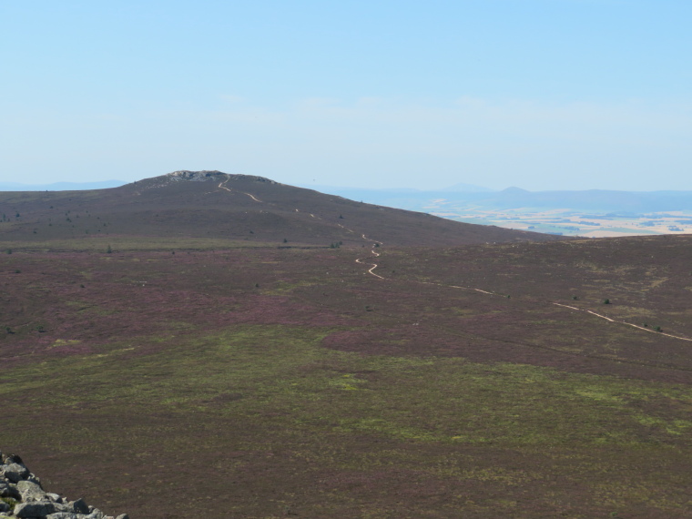 United Kingdom Scotland Aberdeenshire, Bennachie, Bennachie plateau from Mither Tap, Walkopedia