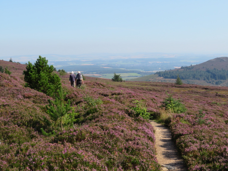 United Kingdom Scotland Aberdeenshire, Bennachie, Buchan Way, Bennachie mid flanks, Walkopedia