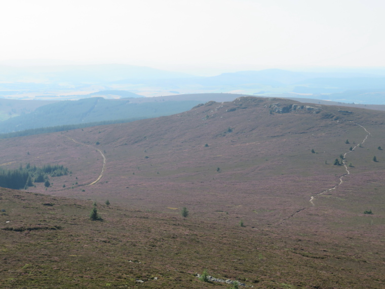 United Kingdom Scotland Aberdeenshire, Bennachie, West Bennachie ridge from Oxen craig, Buchan Way to left, Walkopedia