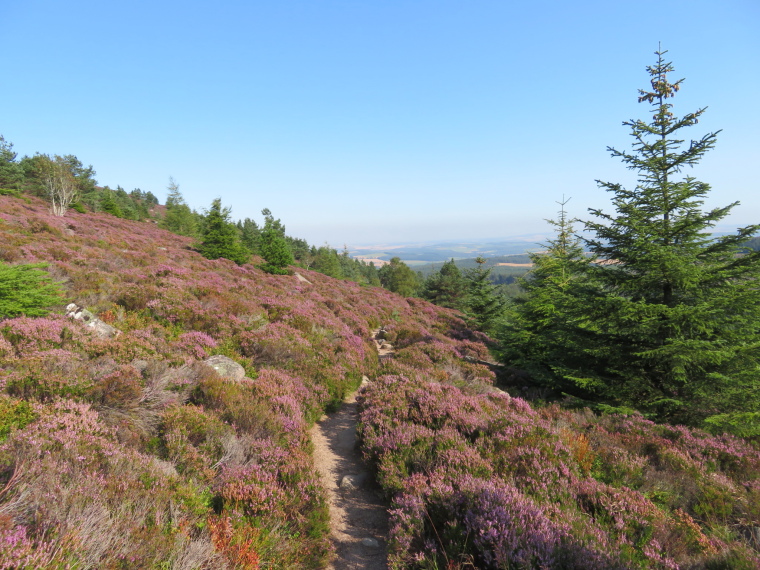 United Kingdom Scotland Aberdeenshire, Bennachie, Buchan Way, Bennachie mid flanks 2, Walkopedia