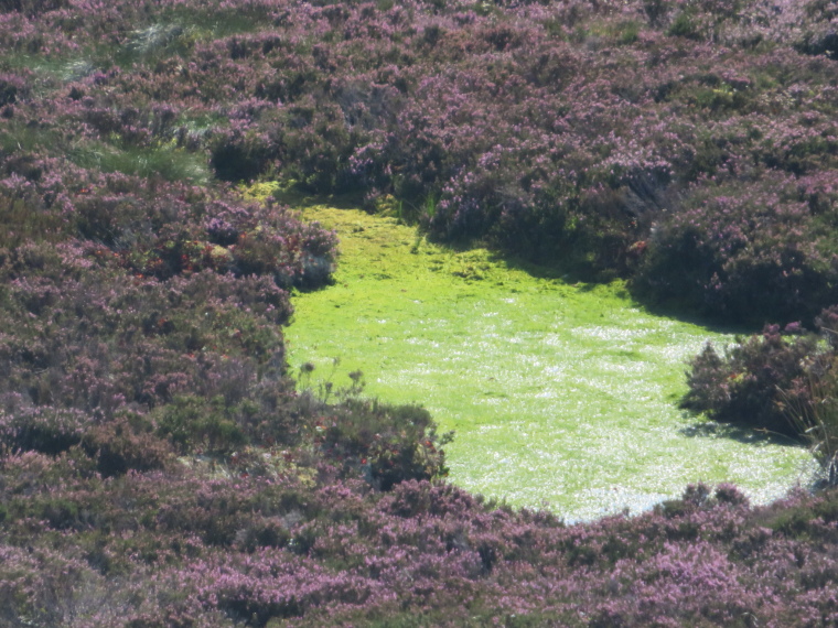 United Kingdom Scotland Aberdeenshire, Bennachie, , Walkopedia