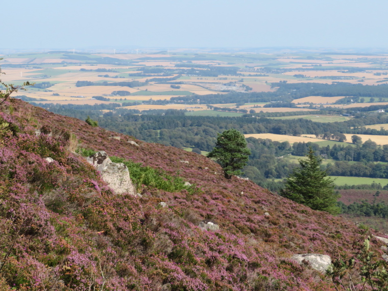 United Kingdom Scotland Aberdeenshire, Bennachie, Climb to Mither Tap 2, Walkopedia