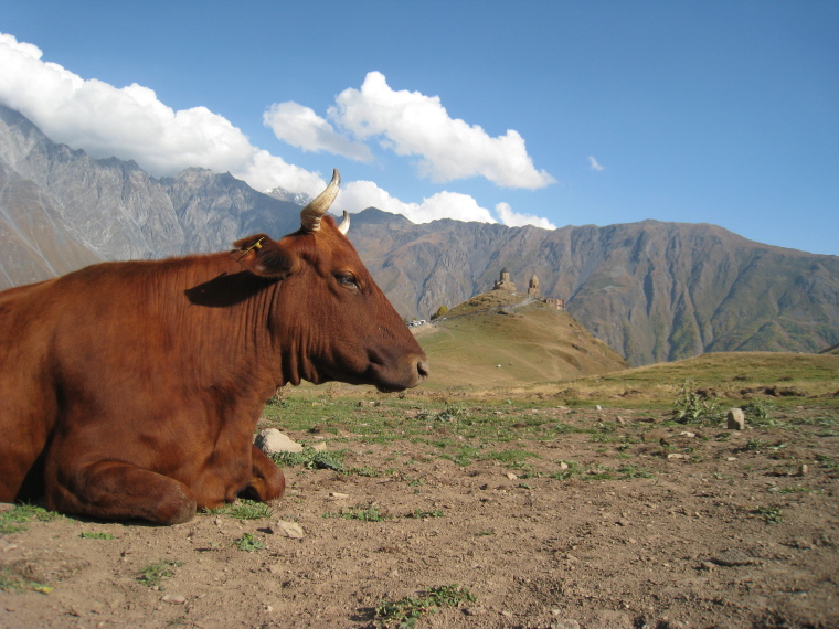 Georgia Gt Caucasus Khevi, To Gergeti Glacier, , Walkopedia