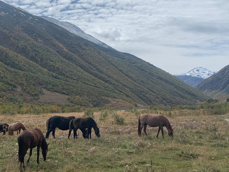 Georgia Gt Caucasus Svaneti, Above Ushguli , , Walkopedia