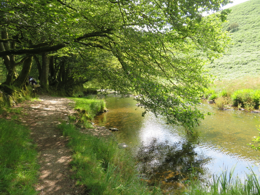 United Kingdom England South-west Exmoor, Barle Valley , Barle valley south of Simonsbath, Walkopedia