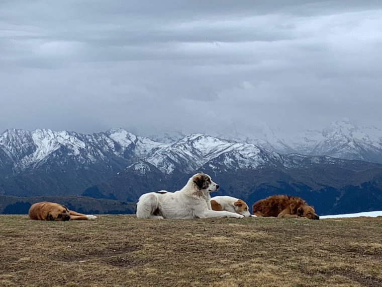 Georgia Gt Caucasus Svaneti, Koruldi Lakes, , Walkopedia