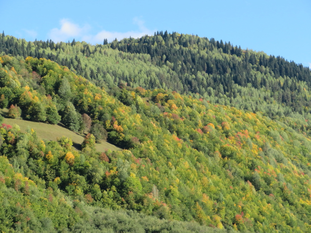 Georgia Gt Caucasus Svaneti, East above Mestia, , Walkopedia