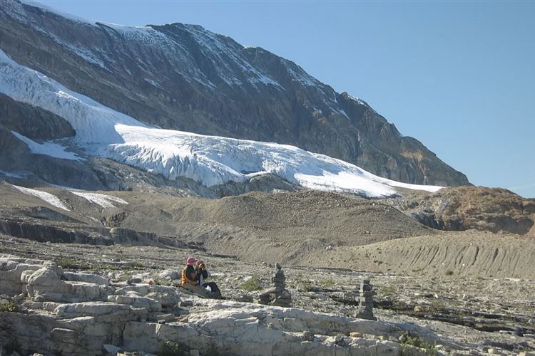 Canada Brit Col: Yoho, Iceline Trail, Glaciers, Walkopedia