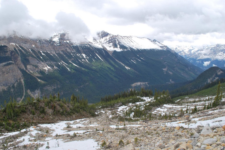 Iceline Trail
Yoho Valley  - © flickr user- Dan Dickinson