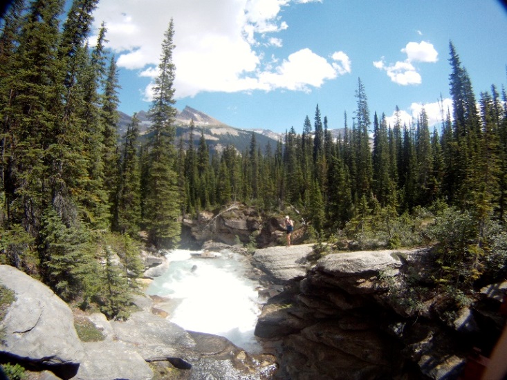 Canada Brit Col: Yoho, Iceline Trail, , Walkopedia