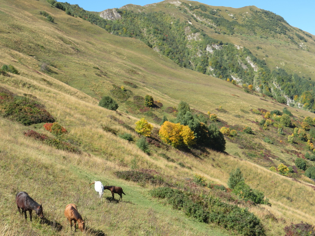 Georgia Gt Caucasus Around Gudauri, To Lomisa Chapel , , Walkopedia