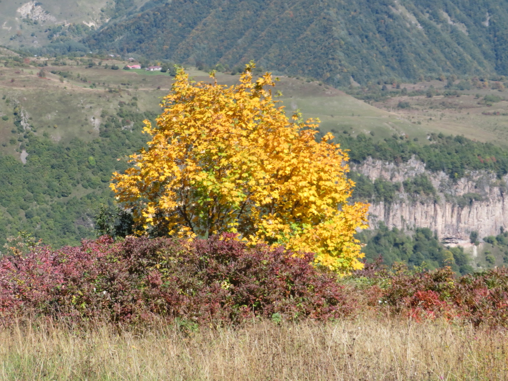 Georgia Gt Caucasus Around Gudauri, To Lomisa Chapel , , Walkopedia