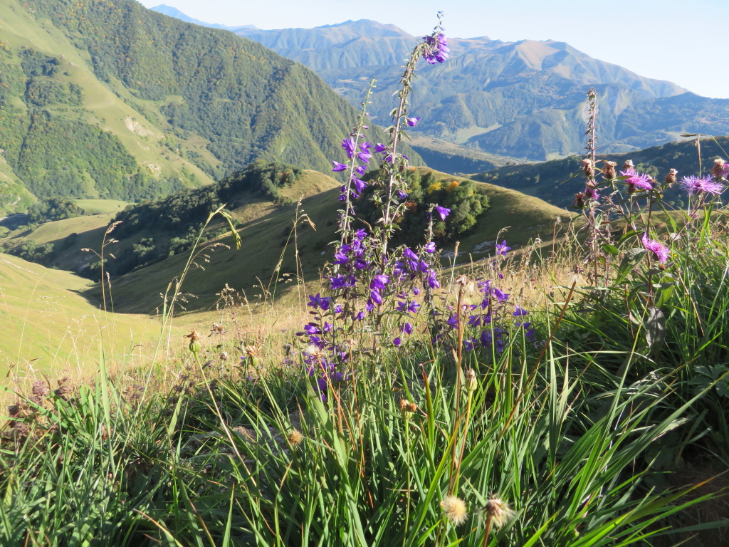 Georgia Gt Caucasus Around Gudauri, Khada Valley and Fire Cross Tower, , Walkopedia