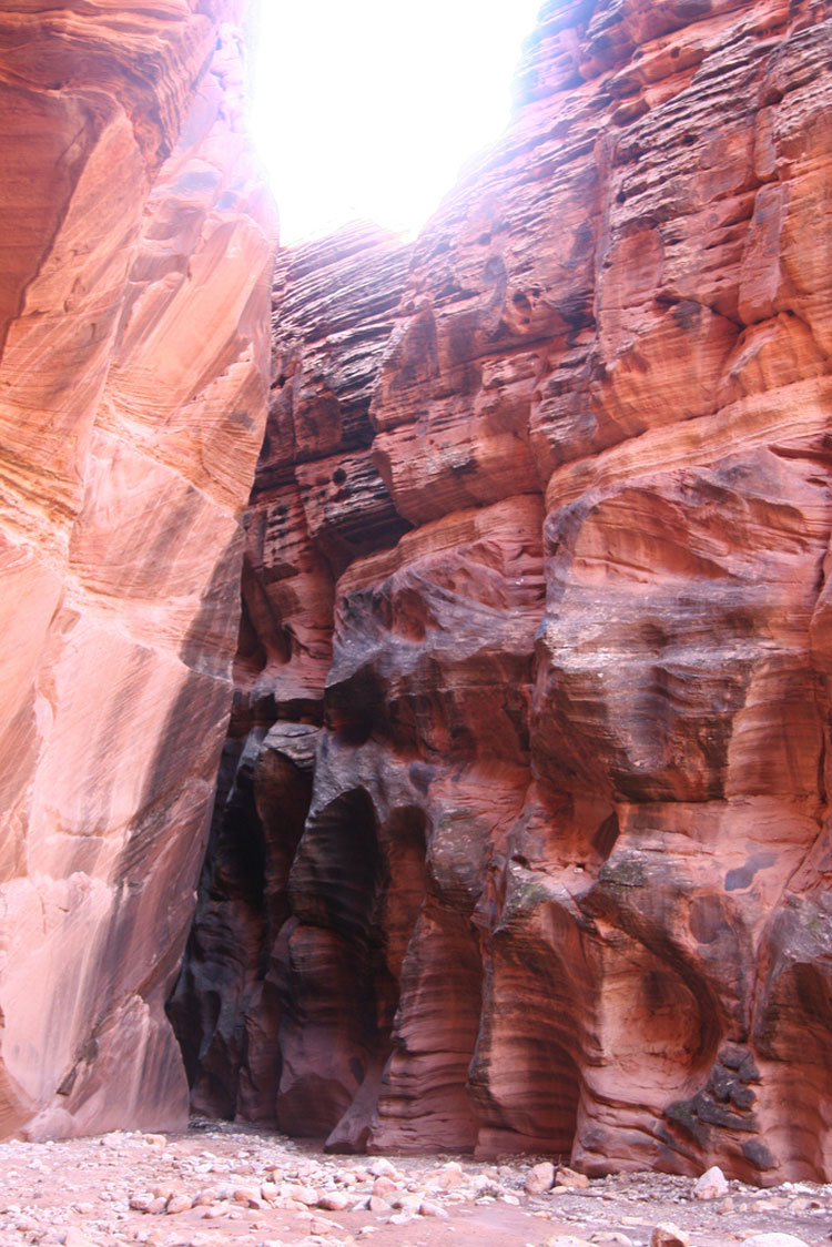 USA SW: Vermilion Cliffs, Vermillion Cliffs, Coyote Buttes , Looking back at Wire Pass, Walkopedia