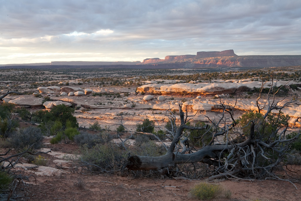 USA South-west, Grand Gulch, Utah , , Walkopedia