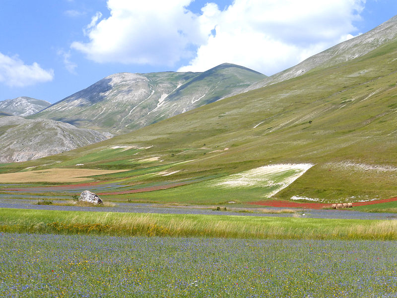 Italy Sibillini, Piano Grande , Piano Grande from Castelluccio, Walkopedia