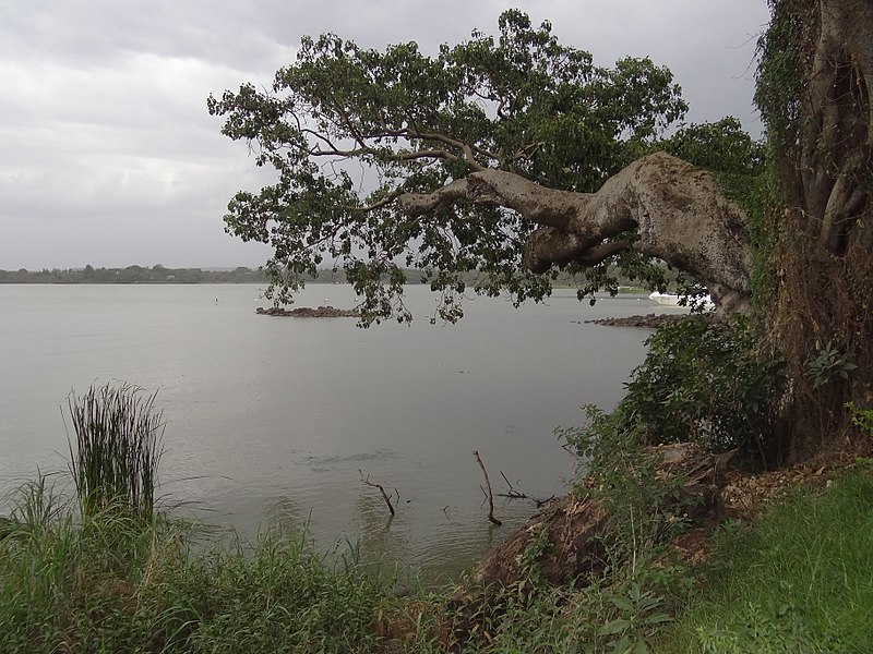 View from Shore of Lake Tana - © Wikimedia user Adam Jones... Zege Peninsula, Lake Tana: View from Shore of Lake Tana - © Wikimedia user Adam Jones...