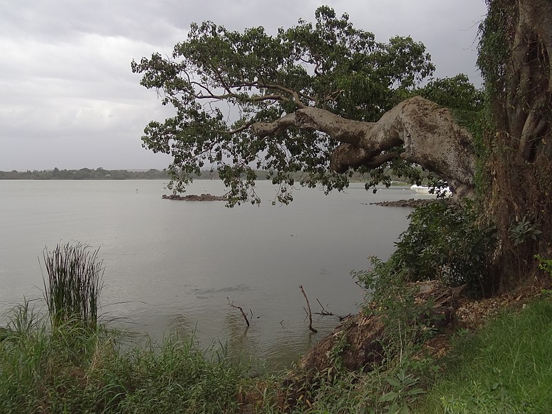 Ethiopia North, Zege Peninsula, Lake Tana, View from Shore of Lake Tana , Walkopedia