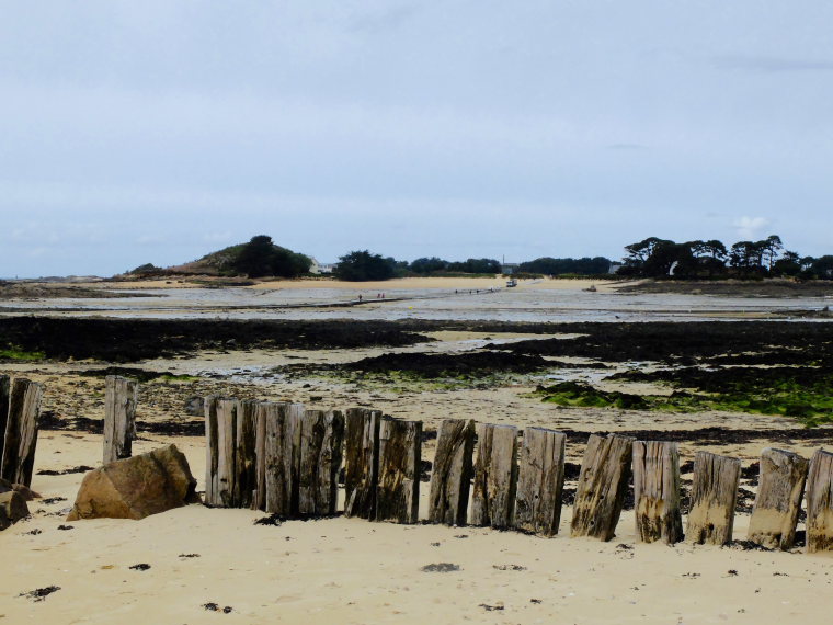 France Brittany, Carantec, Ile de Callot, l'ile Callot, Walkopedia