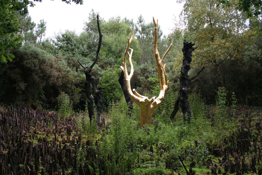 France Brittany, Forest of Paimpont; Val sans Retour,  The golden chesnut tree, Walkopedia