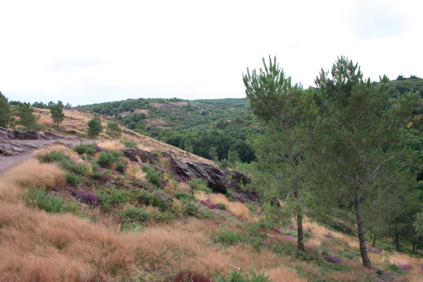 France Brittany, Forest of Paimpont; Val sans Retour,  Val sans retour, Walkopedia