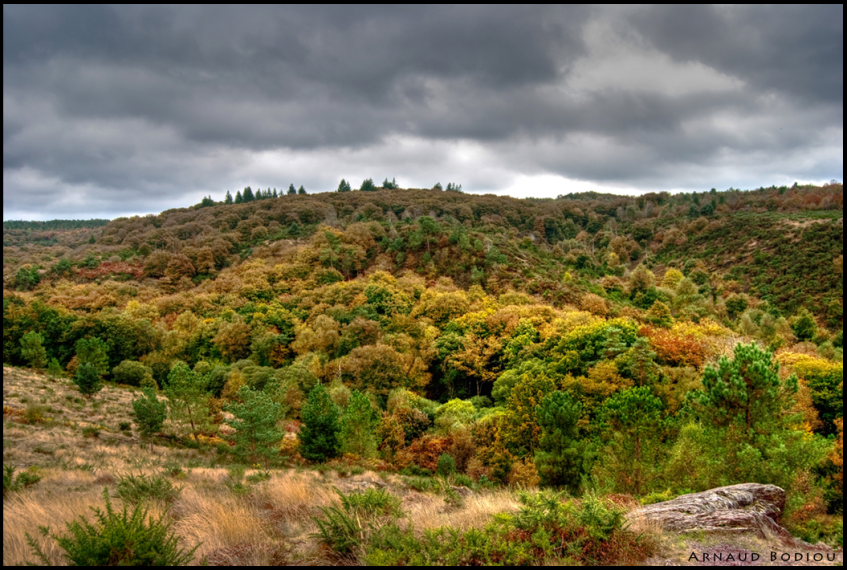 France Brittany, Forest of Paimpont; Val sans Retour, Legendes d'automne, Walkopedia