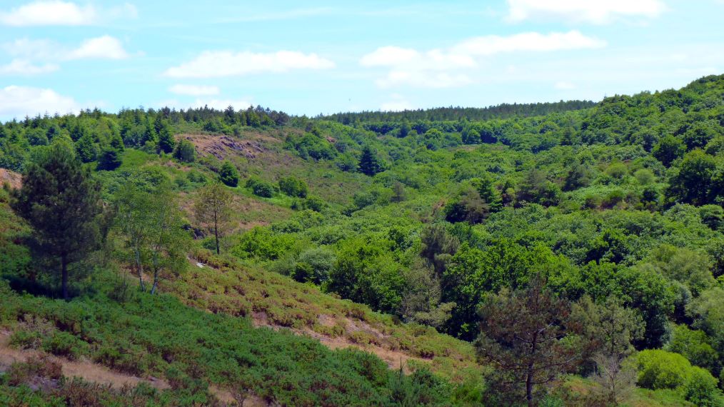 France Brittany, Forest of Paimpont; Val sans Retour, Val sans retour, Walkopedia