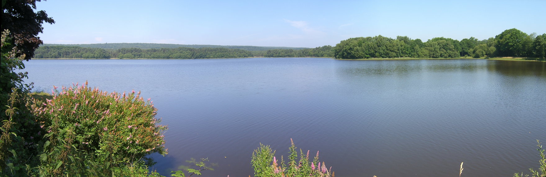 France Brittany, Forest of Paimpont; Val sans Retour, Paimpont, forest of Broceliande, Walkopedia