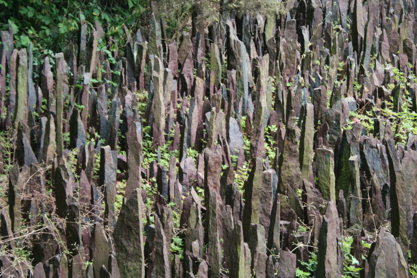 France Brittany, Forest of Paimpont; Val sans Retour, Stones of the golden chesnut, Walkopedia