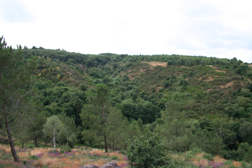 France Brittany, Forest of Paimpont; Val sans Retour, Val sans retour, Walkopedia