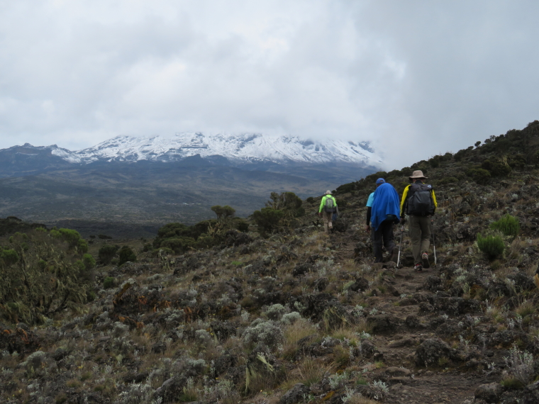 Tanzania Mount Kilimanjaro, Shira Cathedral, Heading north of Shira Cathedral, Walkopedia