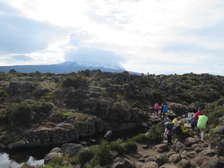 Tanzania Mount Kilimanjaro, Shira Cathedral, , Walkopedia