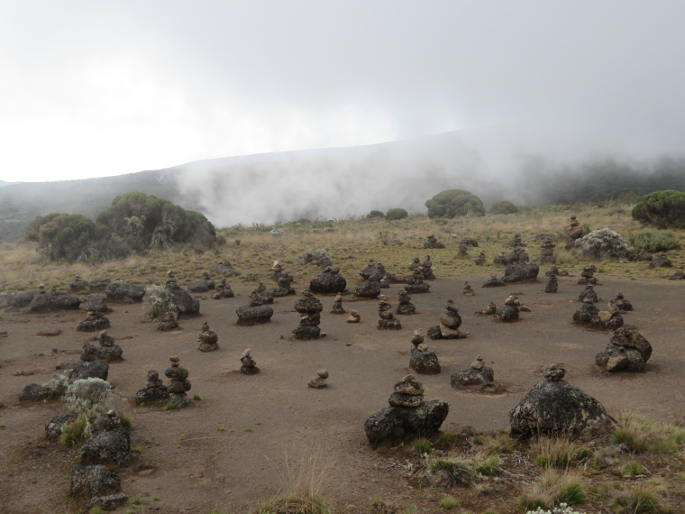 Tanzania Mount Kilimanjaro, Shira Cathedral, , Walkopedia