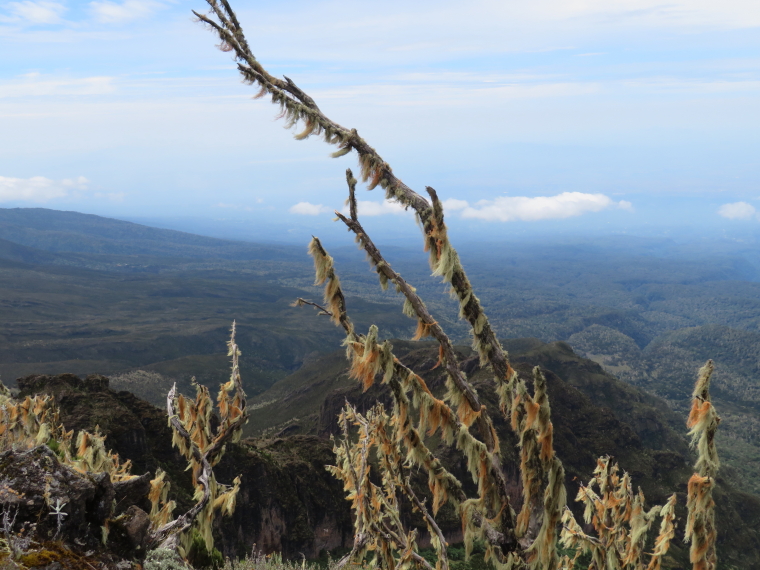 Tanzania Mount Kilimanjaro, Shira Cathedral, South from Shira Cathedral, Walkopedia