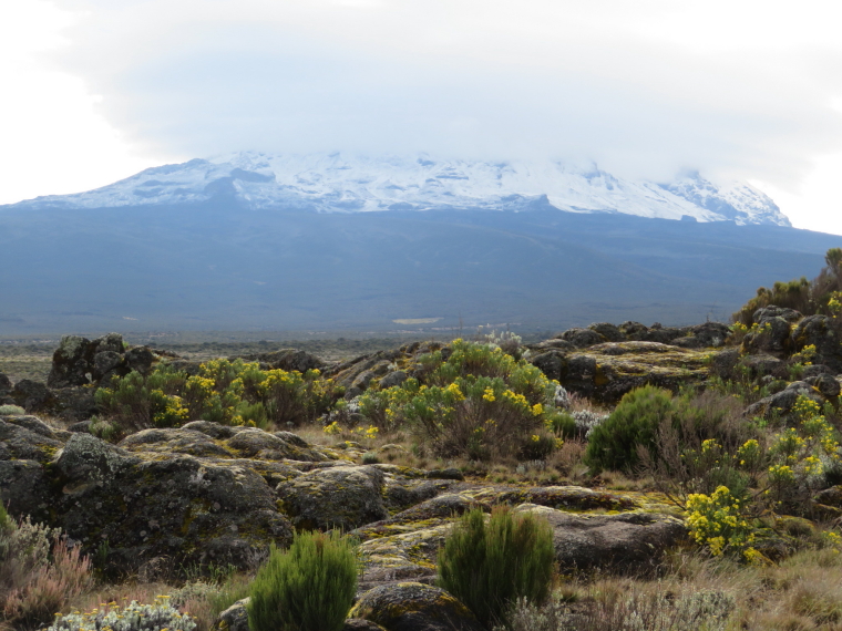 Tanzania Mount Kilimanjaro, Shira Cathedral, Shira Plateau, Walkopedia