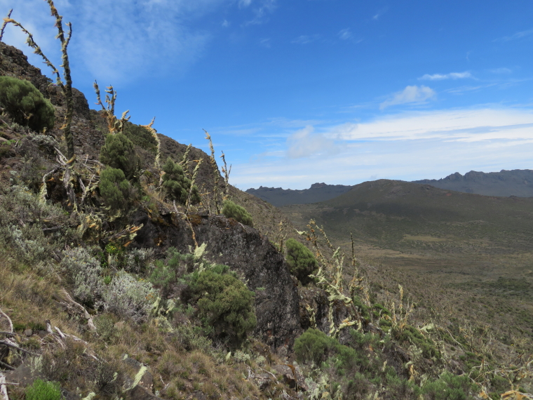 Tanzania Mount Kilimanjaro, Shira Cathedral, Shira plateau from the Cathedral, Walkopedia