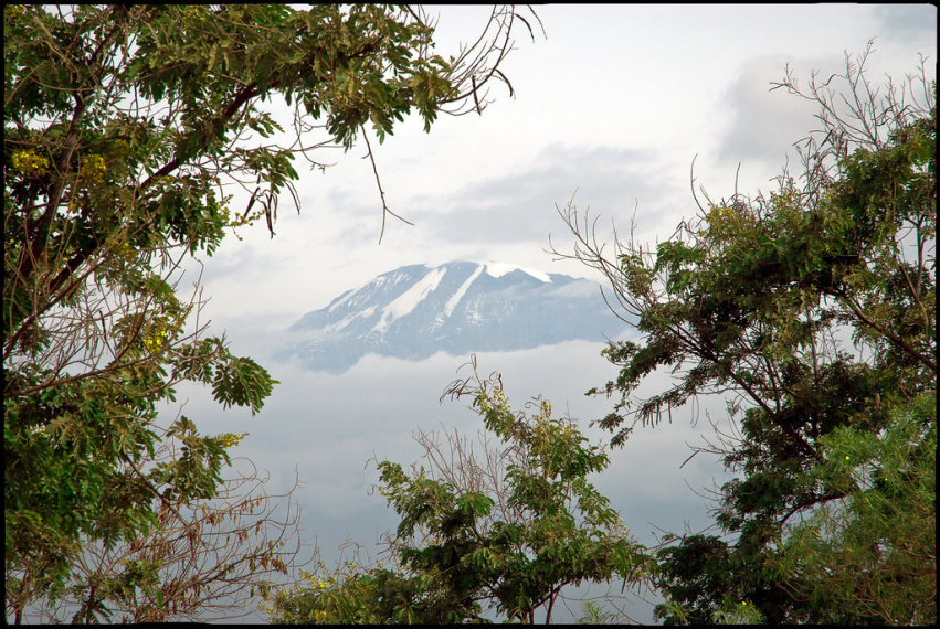 Tanzania Mount Kilimanjaro, Rongai Route, , Walkopedia