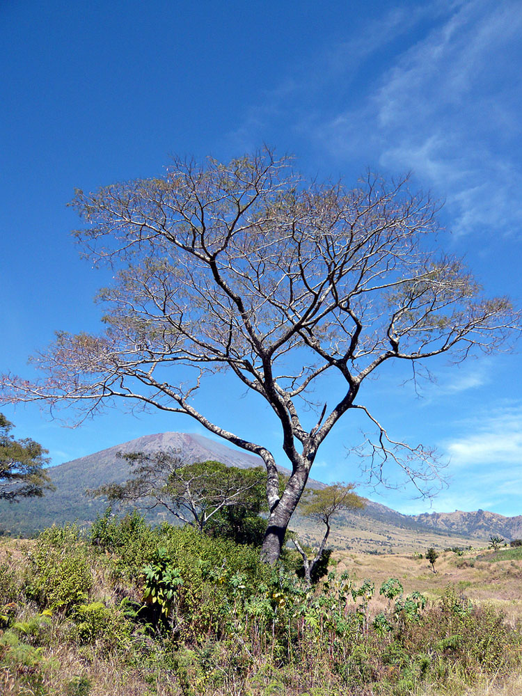 Indonesia Lombok, Mount Rinjani, Rinjani Photo Traveler's Note - ? From Flickr user Sektordua, Walkopedia