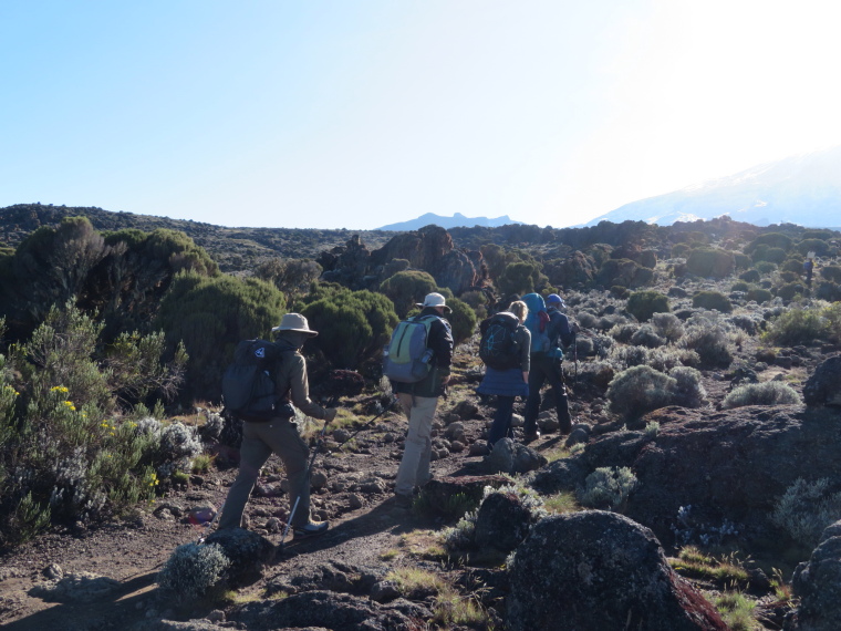 Tanzania Mount Kilimanjaro, Lava Tower, Above Shira 2, am, Walkopedia