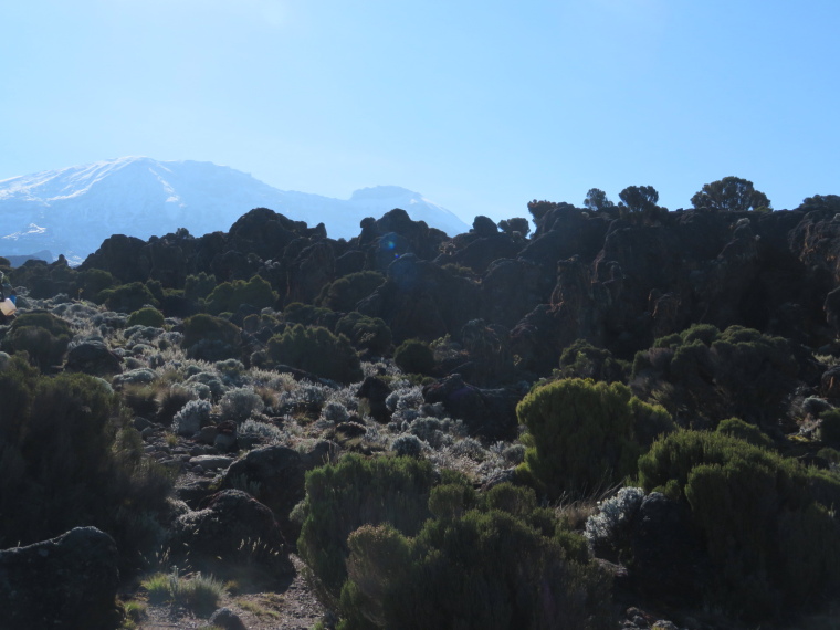 Tanzania Mount Kilimanjaro, Lava Tower, Above Shira 2, am, Walkopedia