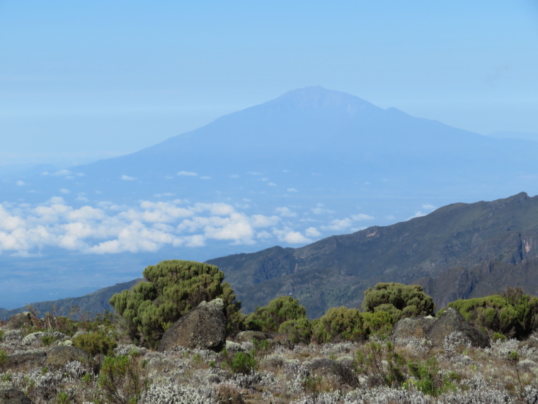 Tanzania Mount Kilimanjaro, Lava Tower, Meru from above Shira 2, am, Walkopedia