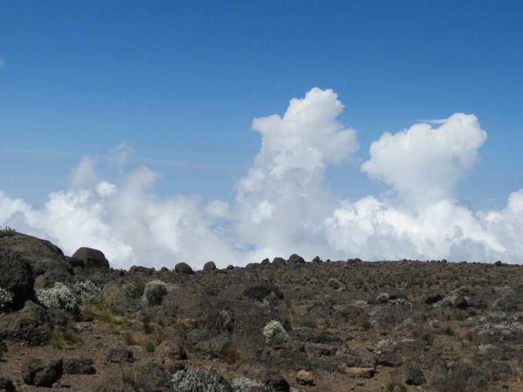 Tanzania Mount Kilimanjaro, Lava Tower, Above Shira 2, Walkopedia