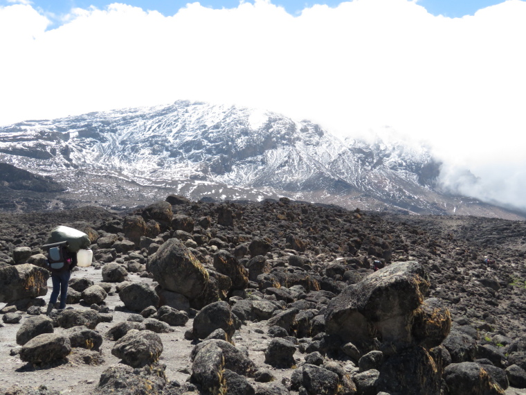 Tanzania Mount Kilimanjaro, Lava Tower,  Lava Tower trail, Walkopedia