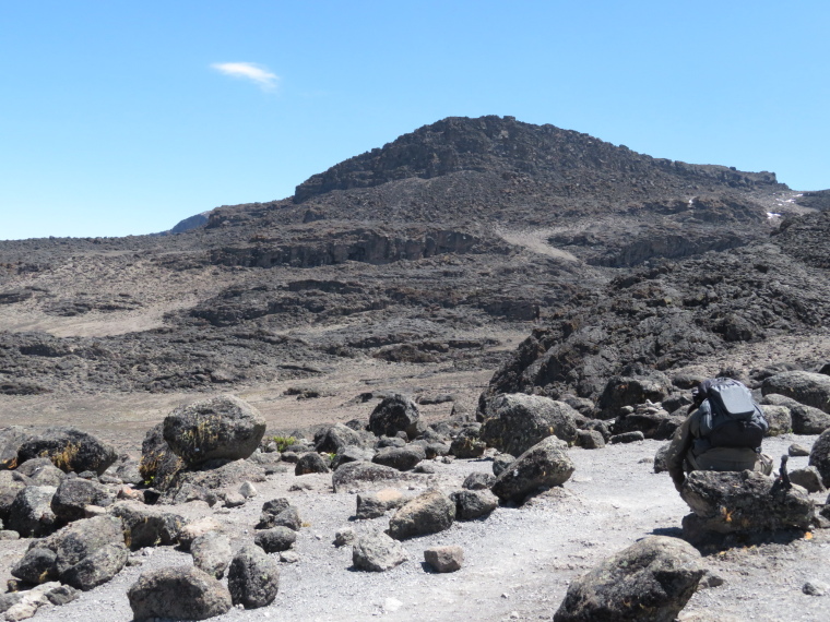 Tanzania Mount Kilimanjaro, Lava Tower,  Lava Tower trail, Walkopedia