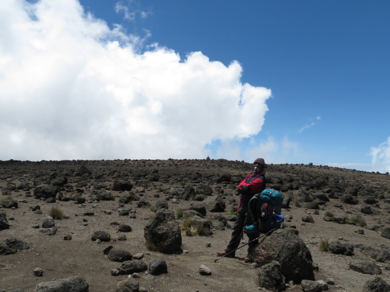 Tanzania Mount Kilimanjaro, Lava Tower, , Walkopedia