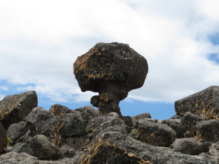 Tanzania Mount Kilimanjaro, Lava Tower, , Walkopedia