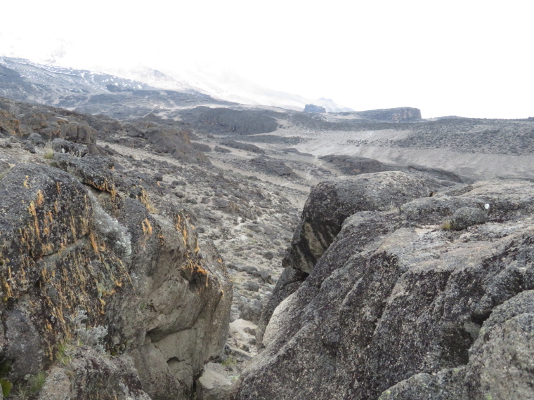 Tanzania Mount Kilimanjaro, Lava Tower, Lava Tower trail, Walkopedia