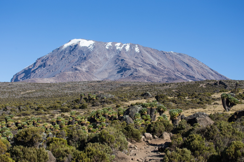 Tanzania Mount Kilimanjaro, Marangu Route , , Walkopedia