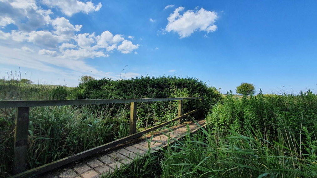 United Kingdom England East Anglia, Anna's Walk, , Walkopedia