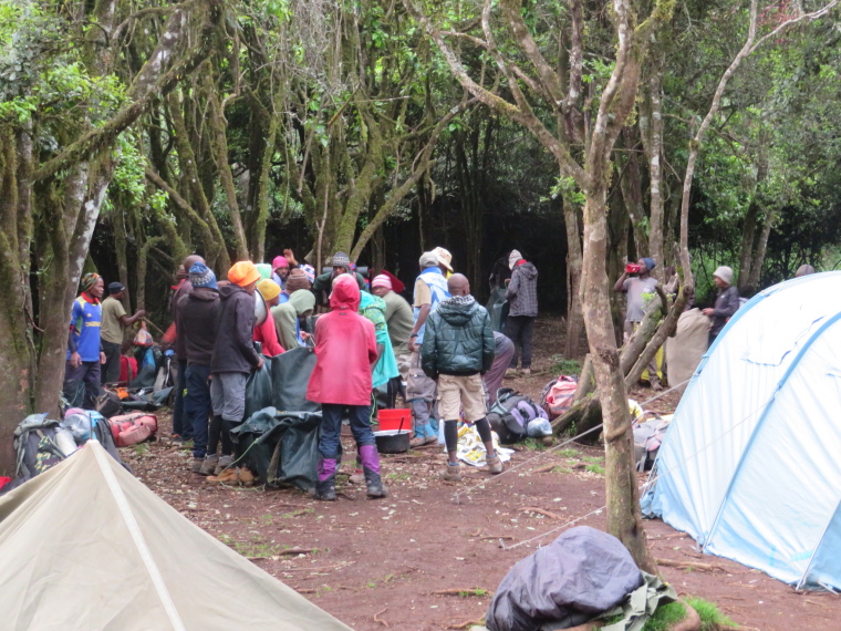 Tanzania Mount Kilimanjaro, Lemosho and Shira Routes  , Forest camp, Walkopedia